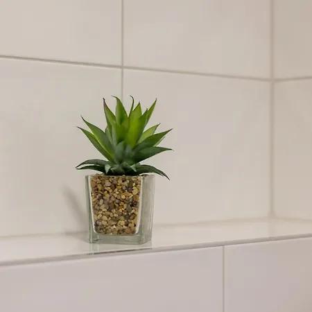 Appartement Mate *